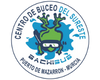 Centro de Buceo Sureste Bachisub 100x80