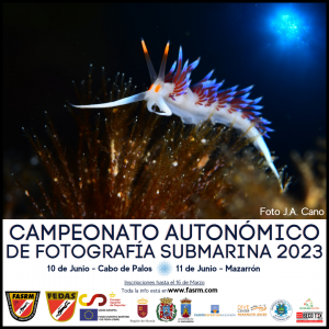 Campeonato autonómico fotografía submarina 2023